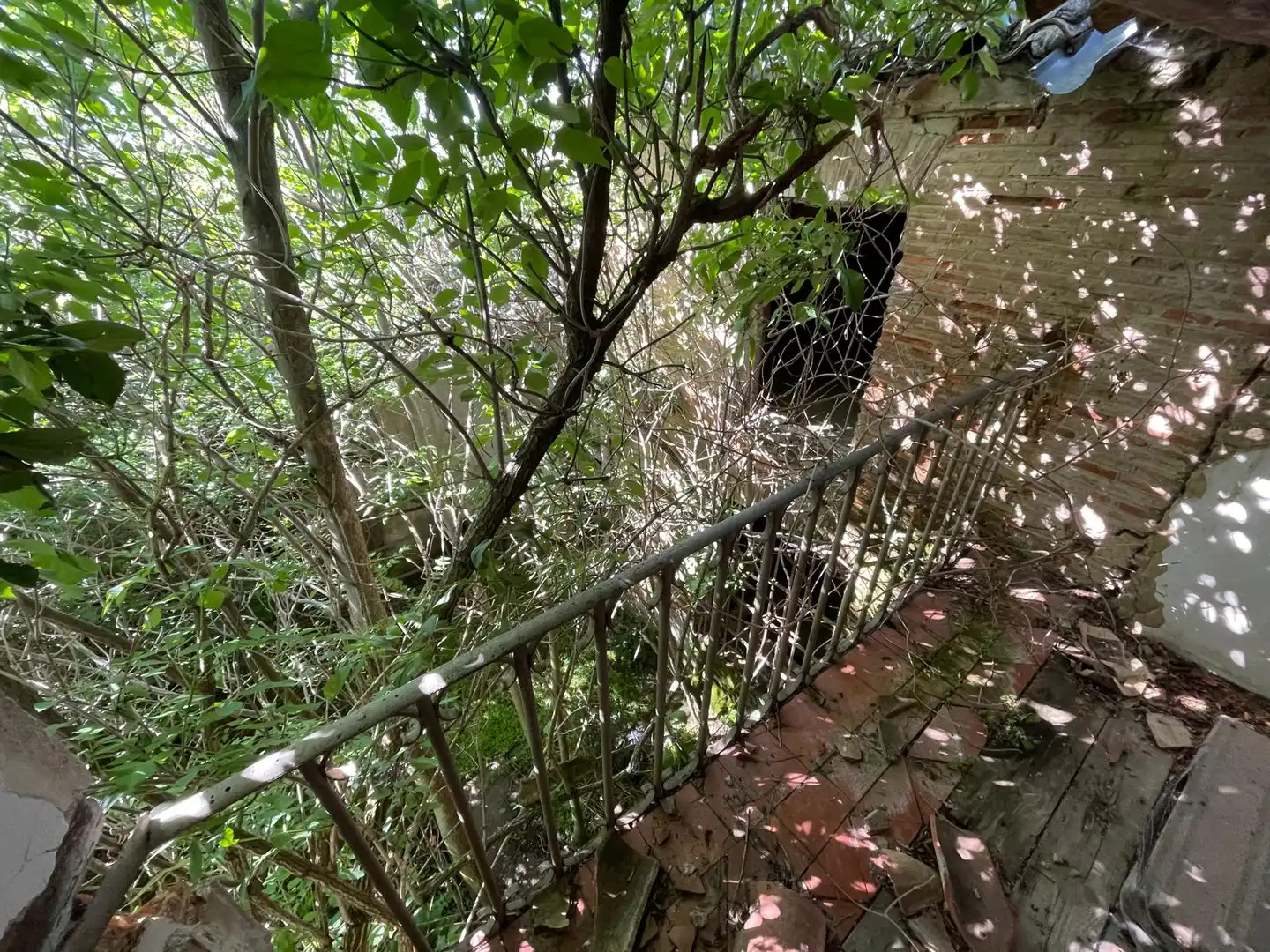 Jardí de Finca rústica en venda en Pedrosa del Rey amb Jardí privat, Parquet i Traster