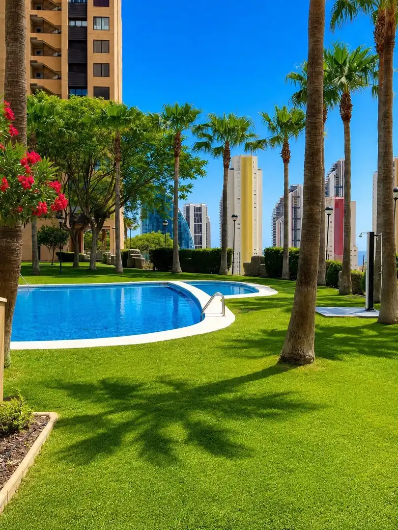 Appartement avec piscine à vendre à Calle Pdte. Adolfo Suárez 12, imagen 29