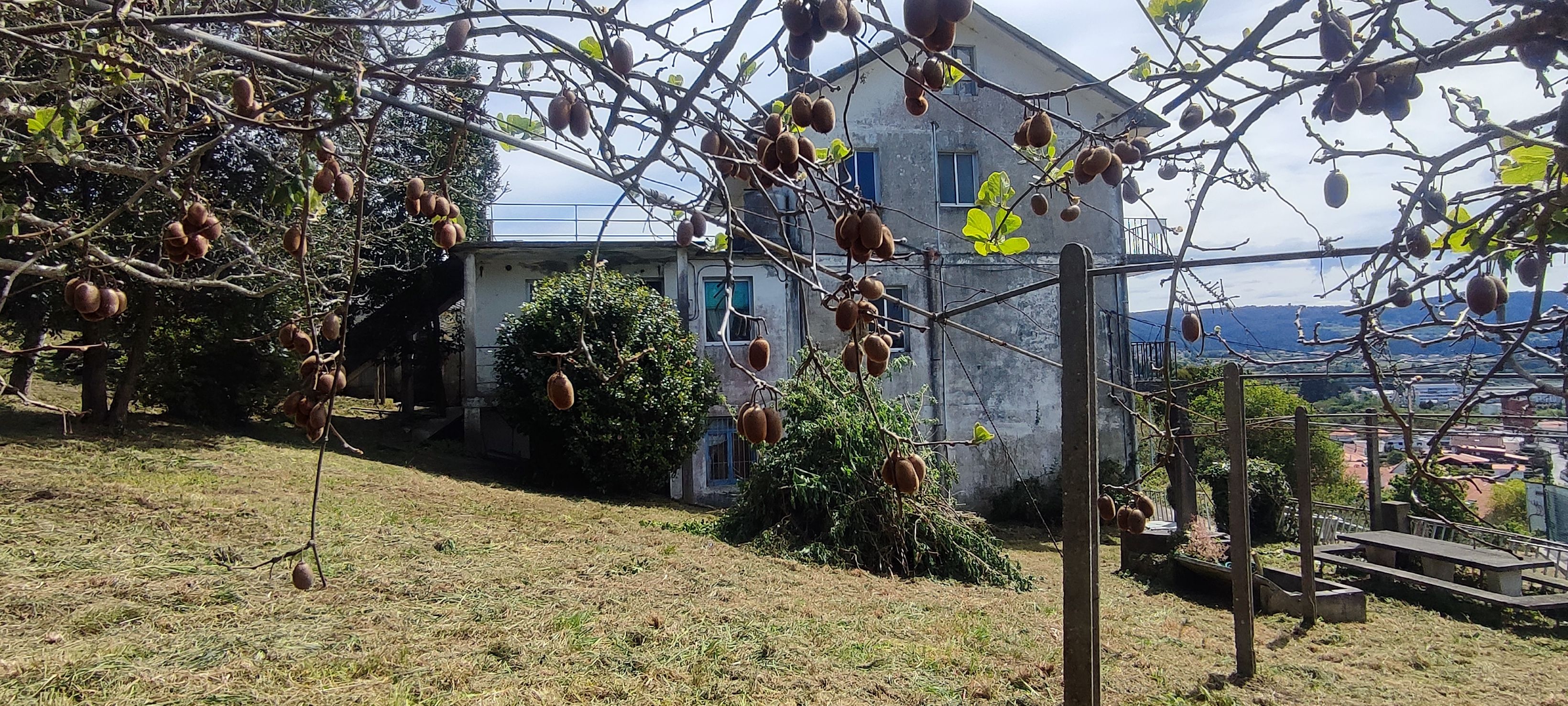Exterior view of House or chalet for sale in Cabanas  with Private garden, Terrace and Balcony