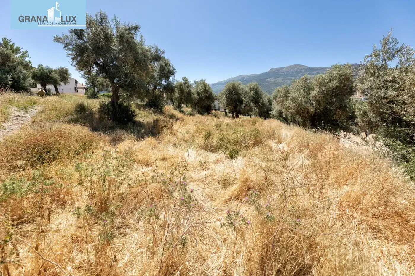Lands and plots for sale in Calle FUENTE 16 CAÑOS, imagen 8