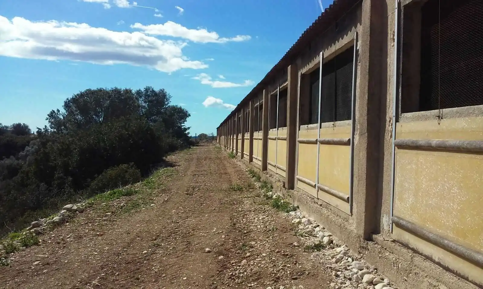 Vista exterior de Nave industrial en venta en Traiguera