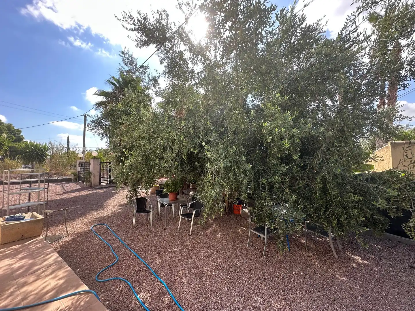 Casa con giardino in vendita a Crevillent, imagen 29