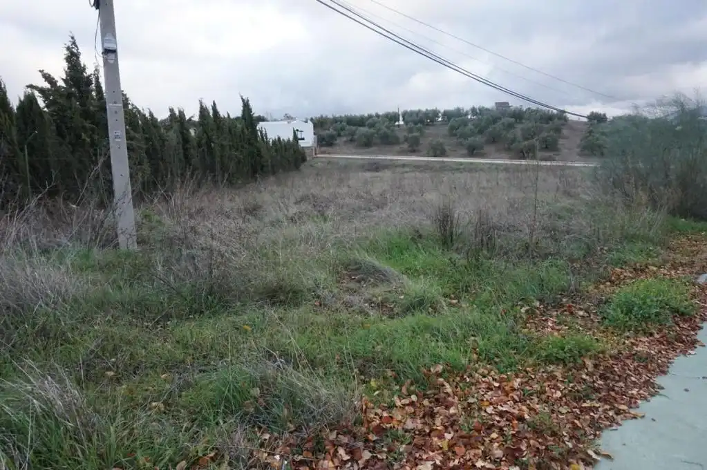 Terreny rústic en venda a C/ Batán, imagen 8