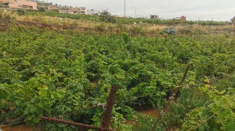 Photo 3 of Land for sale in Calle la Bastona, Santa Úrsula pueblo, Santa Cruz de Tenerife