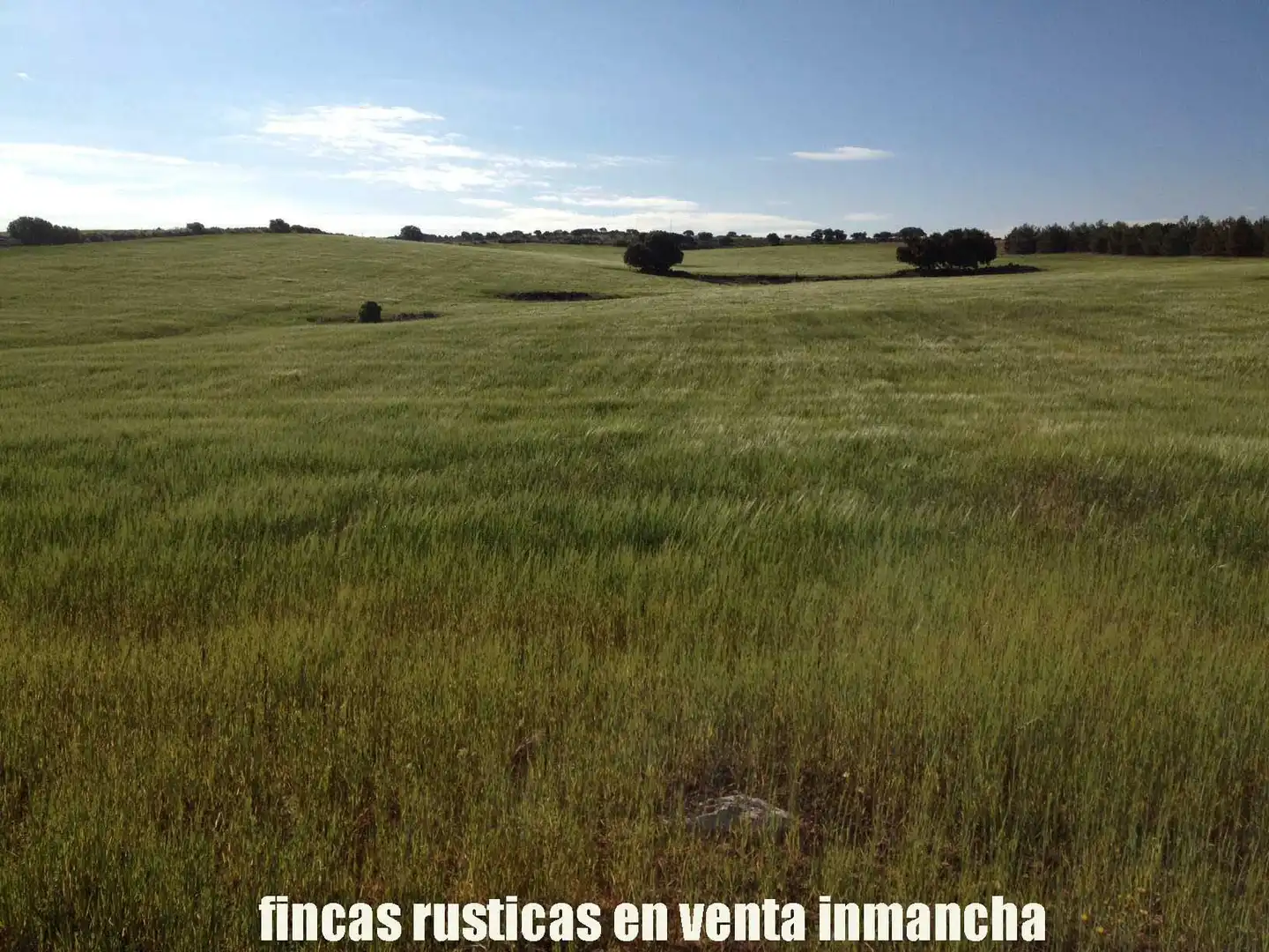 Terreno rustico in vendita a Ruidera