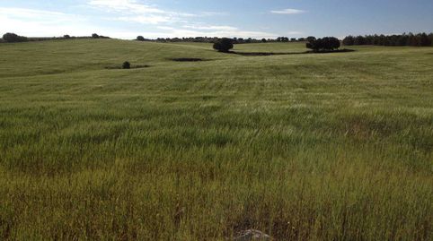 finca en venta 186 has. labor caza menor en Ruidera (Ciudad Real)