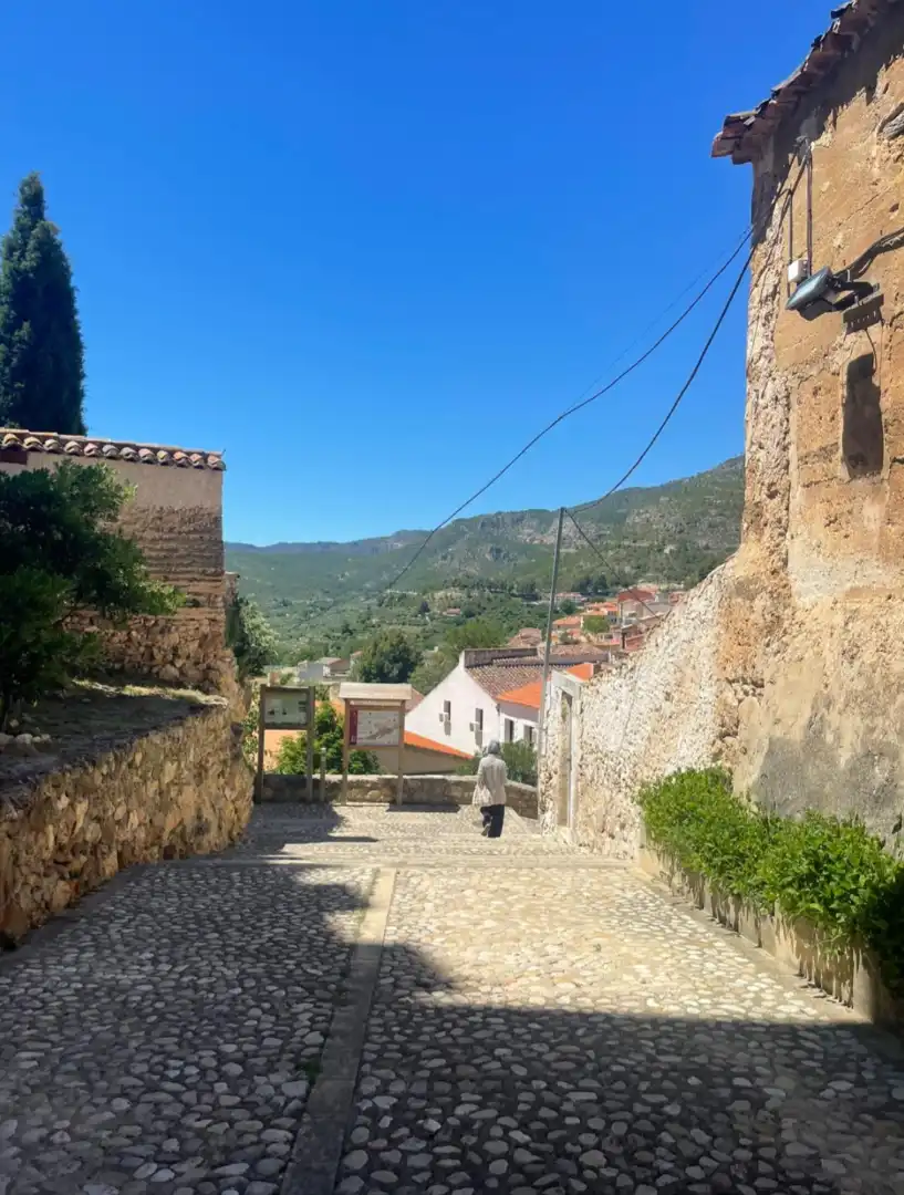 Residenziale in vendita a Yeste, imagen 31