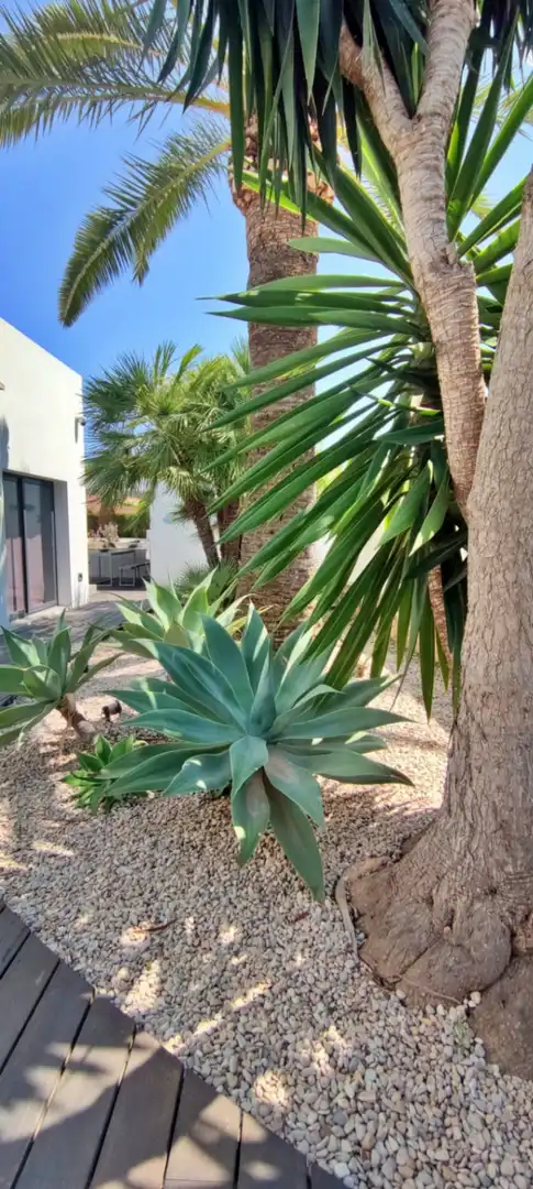 Jardí de Casa o xalet de lloguer en Benissa amb Aire condicionat, Calefacció i Jardí privat