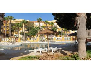 Swimming pool of Flat to rent in El Ejido  with Terrace and Swimming Pool