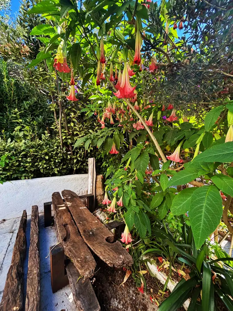Haus mit Pool zum Verkauf in Avinguda dels Arbres, imagen 40