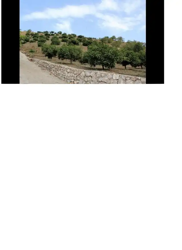 Terreny rústic en venda a Motril  ciudad, imagen 25