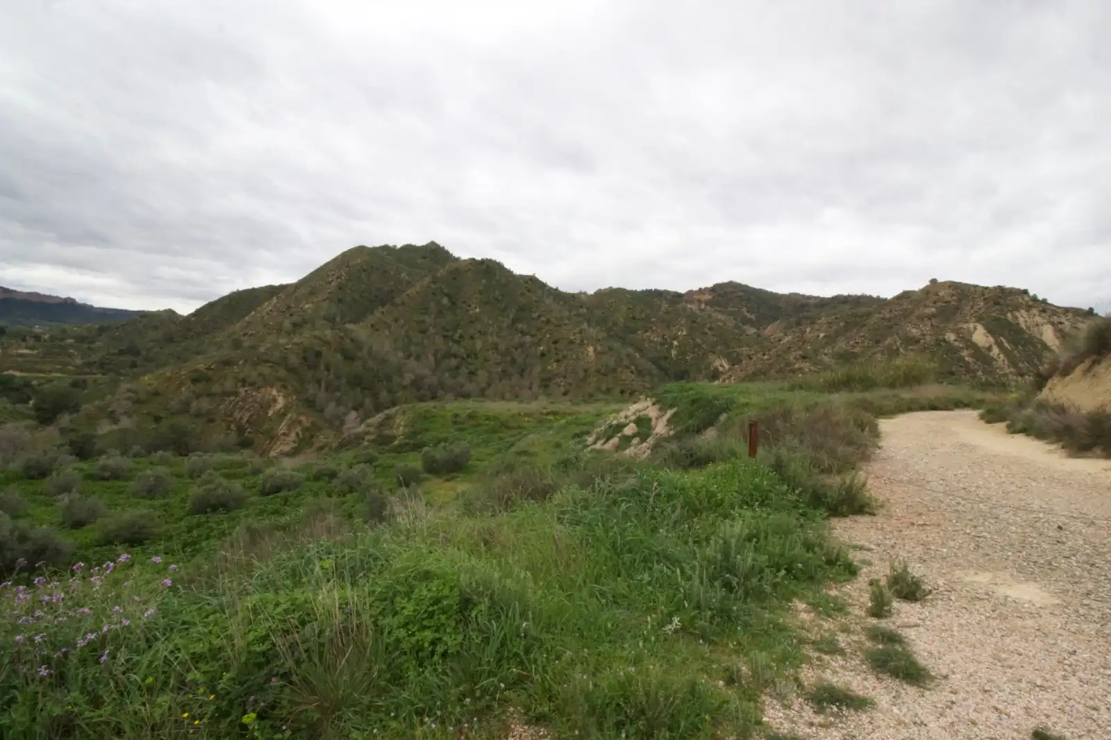 Residencial en venta en Algezares