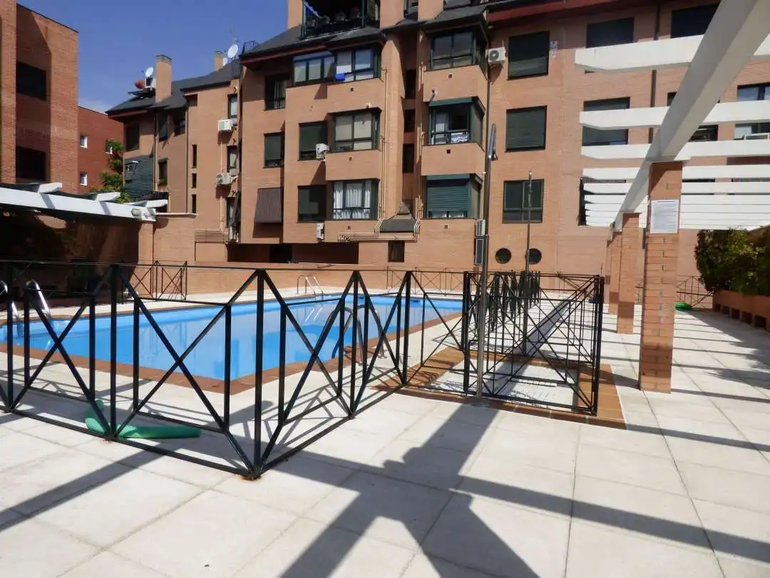 Swimming pool of Flat for rent in Madrid  with Air Conditioner, Heating and Private garden