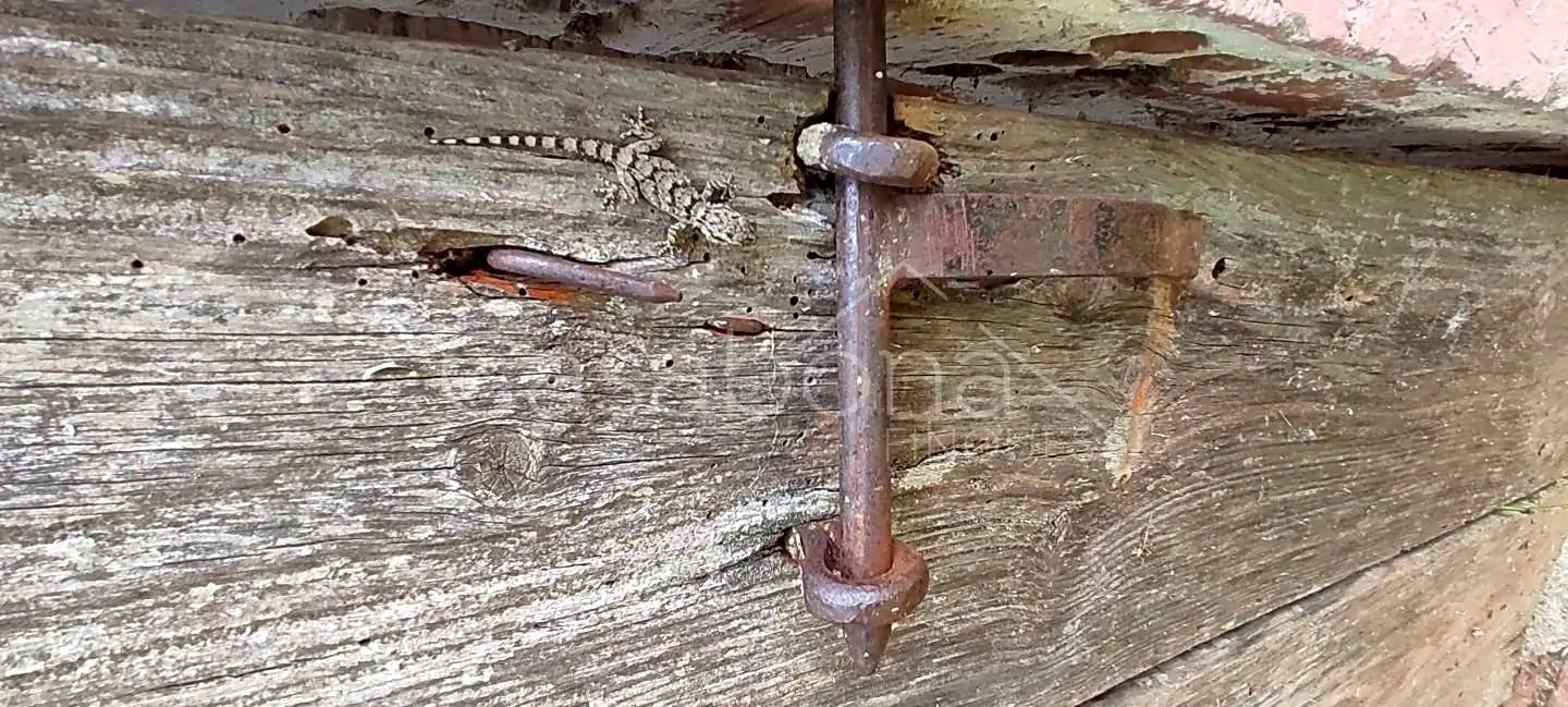 Landhaus mit Garten zum Verkauf in Bigues i Riells del Fai, imagen 54