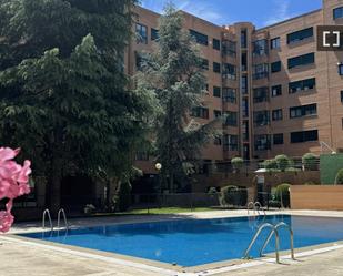 Swimming pool of Flat to rent in  Madrid Capital  with Air Conditioner and Balcony