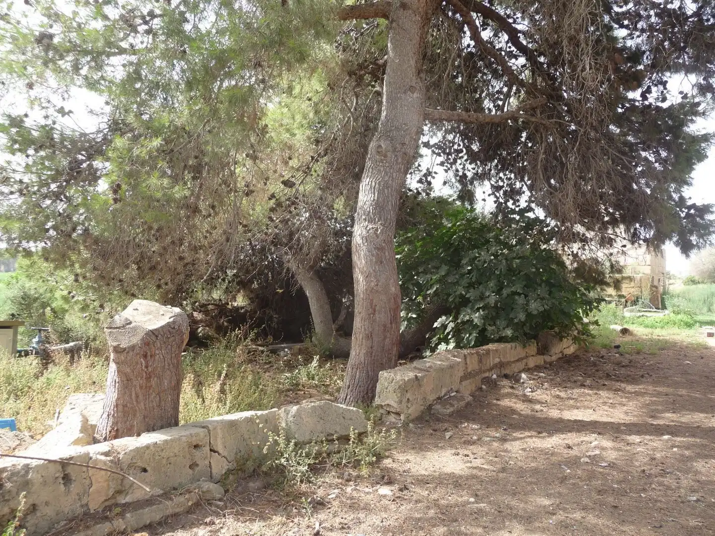 Finca rústica en venda a Son Ferriol