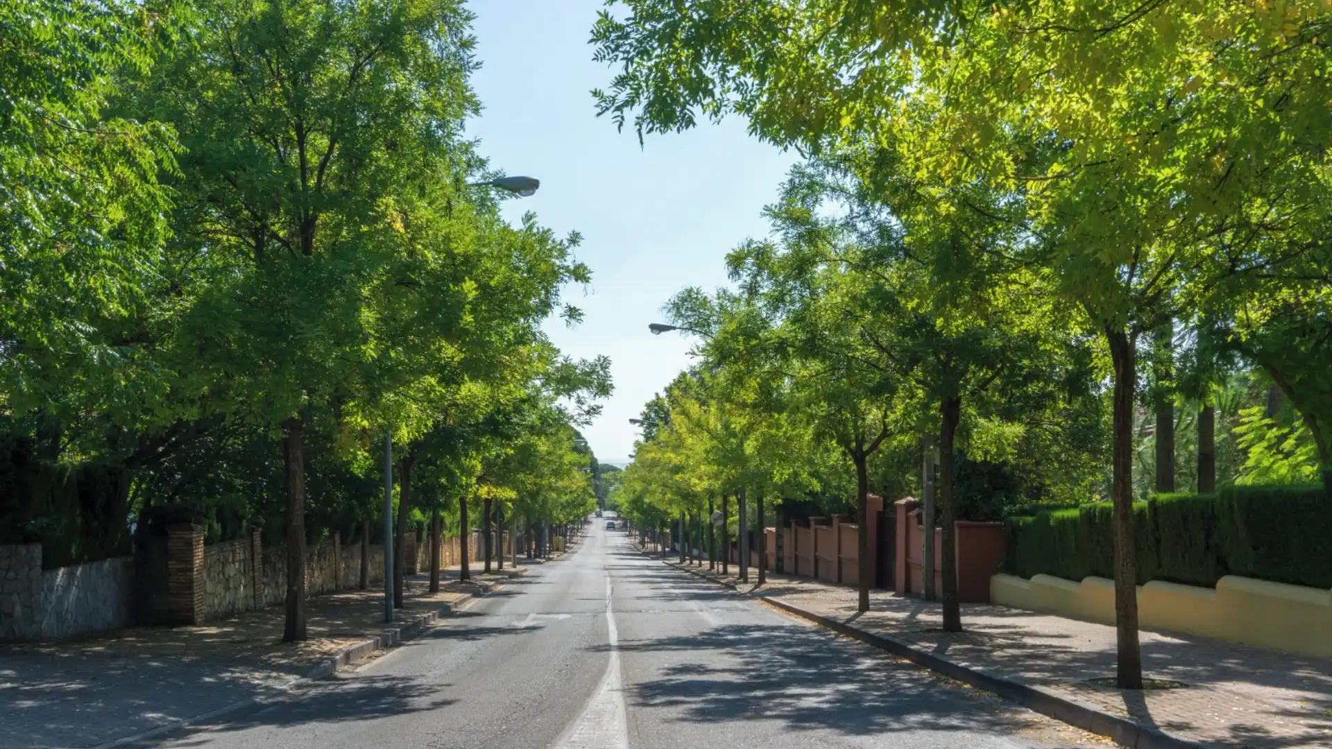 Houses for sale in El Brillante -El Naranjo - El Tablero