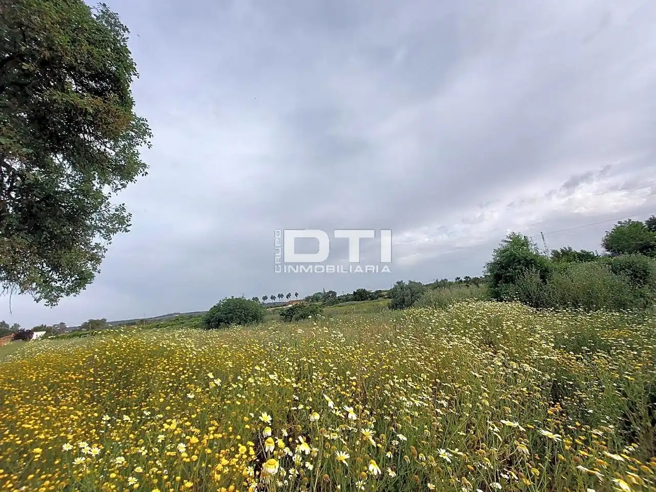 Land for sale in San Bartolomé de la Torre