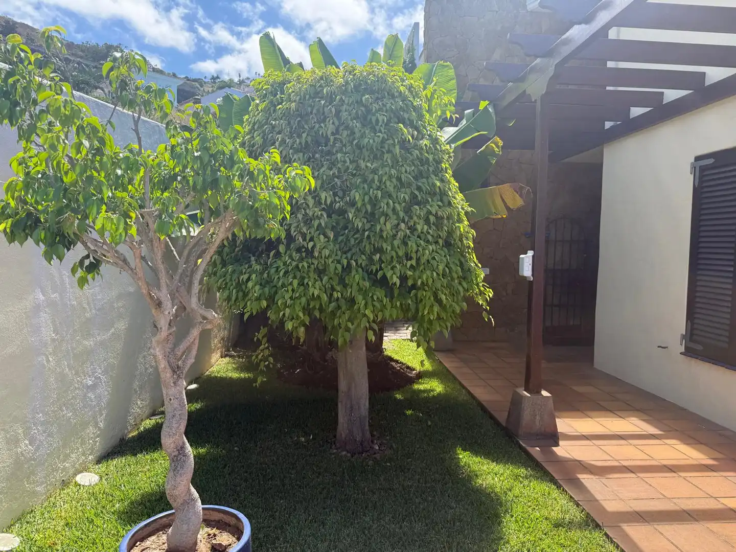 Jardí de Casa o xalet en venda en El Sauzal amb Aire condicionat, Jardí privat i Terrassa