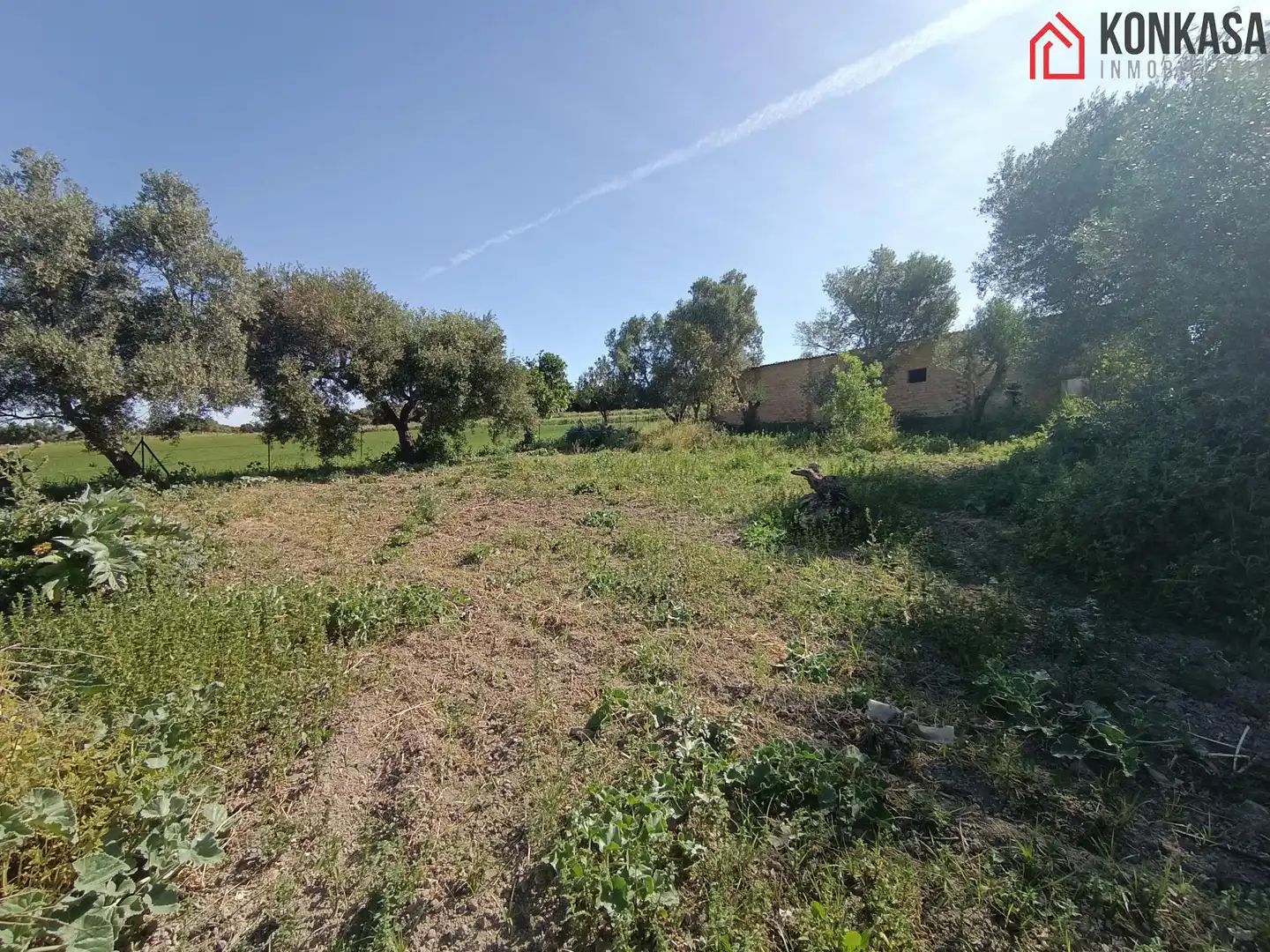 Casa rústica en venda a Arcos de la Frontera, imagen 21