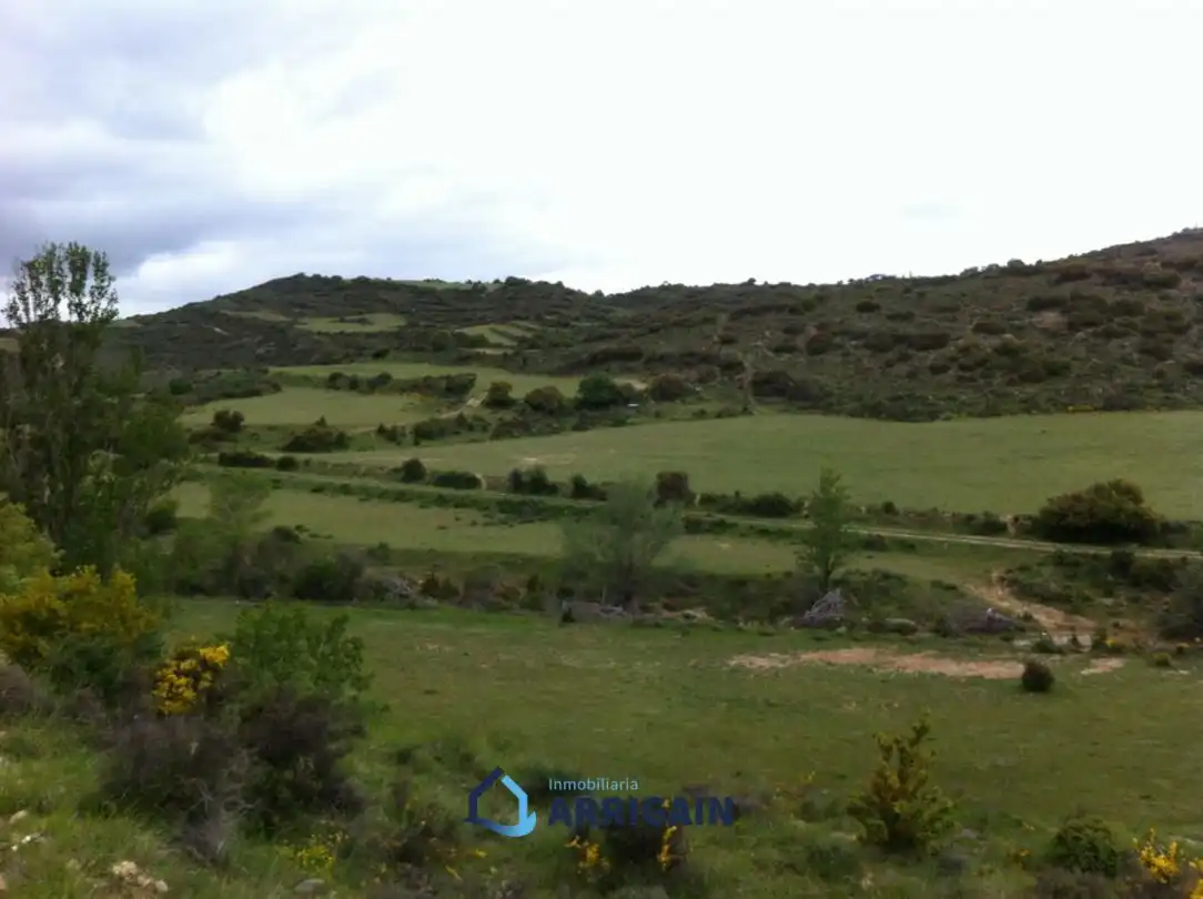 Casa o chalet en venta en La Moraleja con Jardín privado
