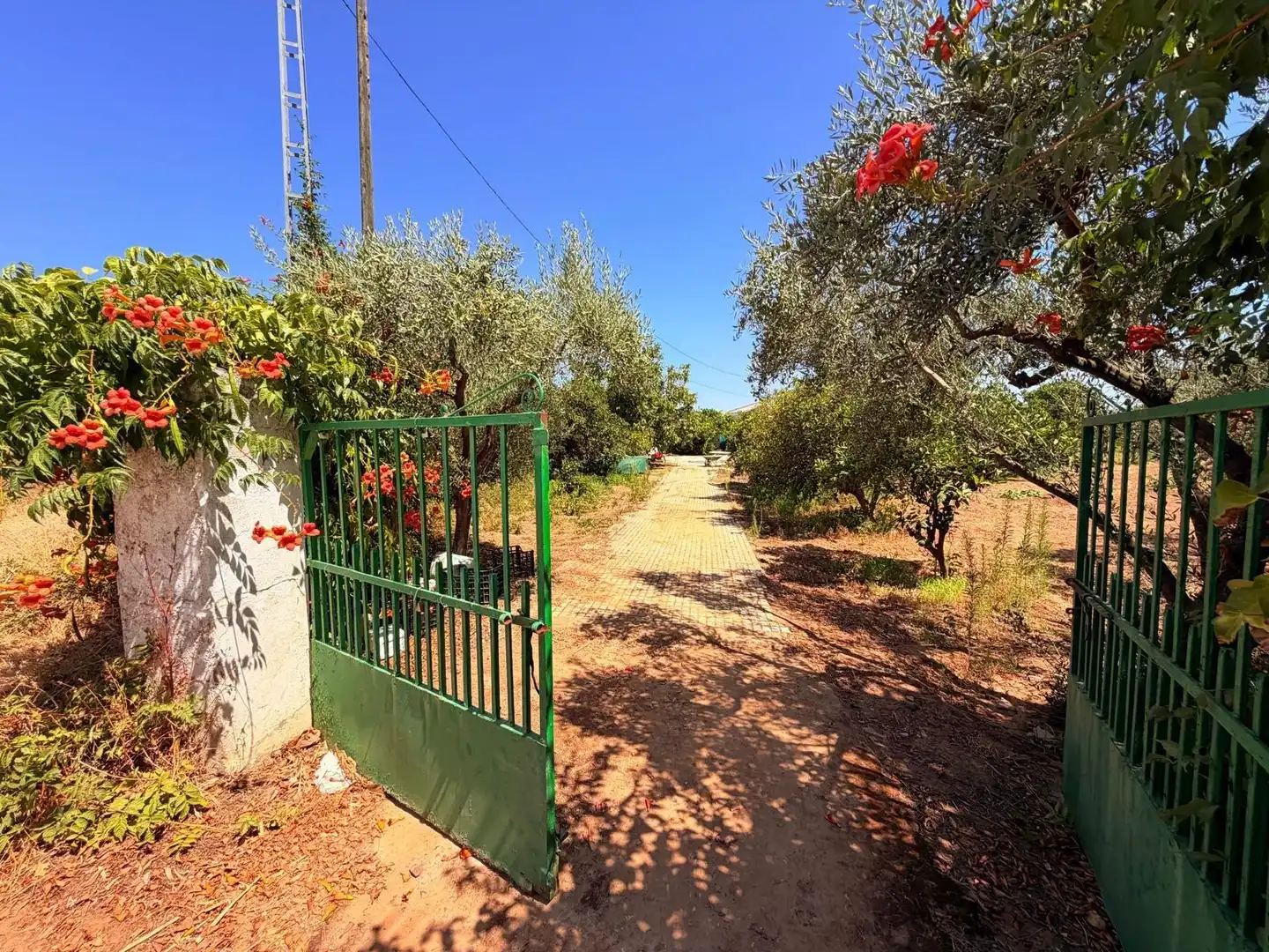 Casa o chalet en venta en Valverde de Mérida con Jardín privado, Terraza y Trastero