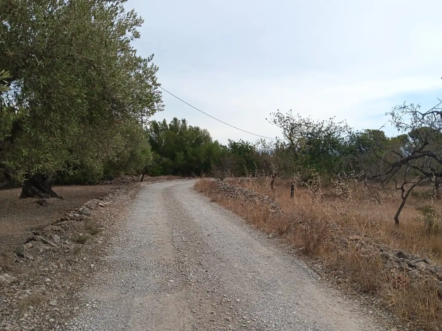 Lands and plots for sale in Roquetes, imagen 18
