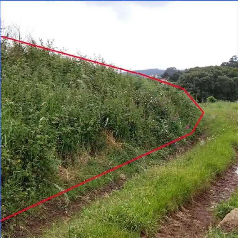 Rural land for sale in Carballo, imagen 2