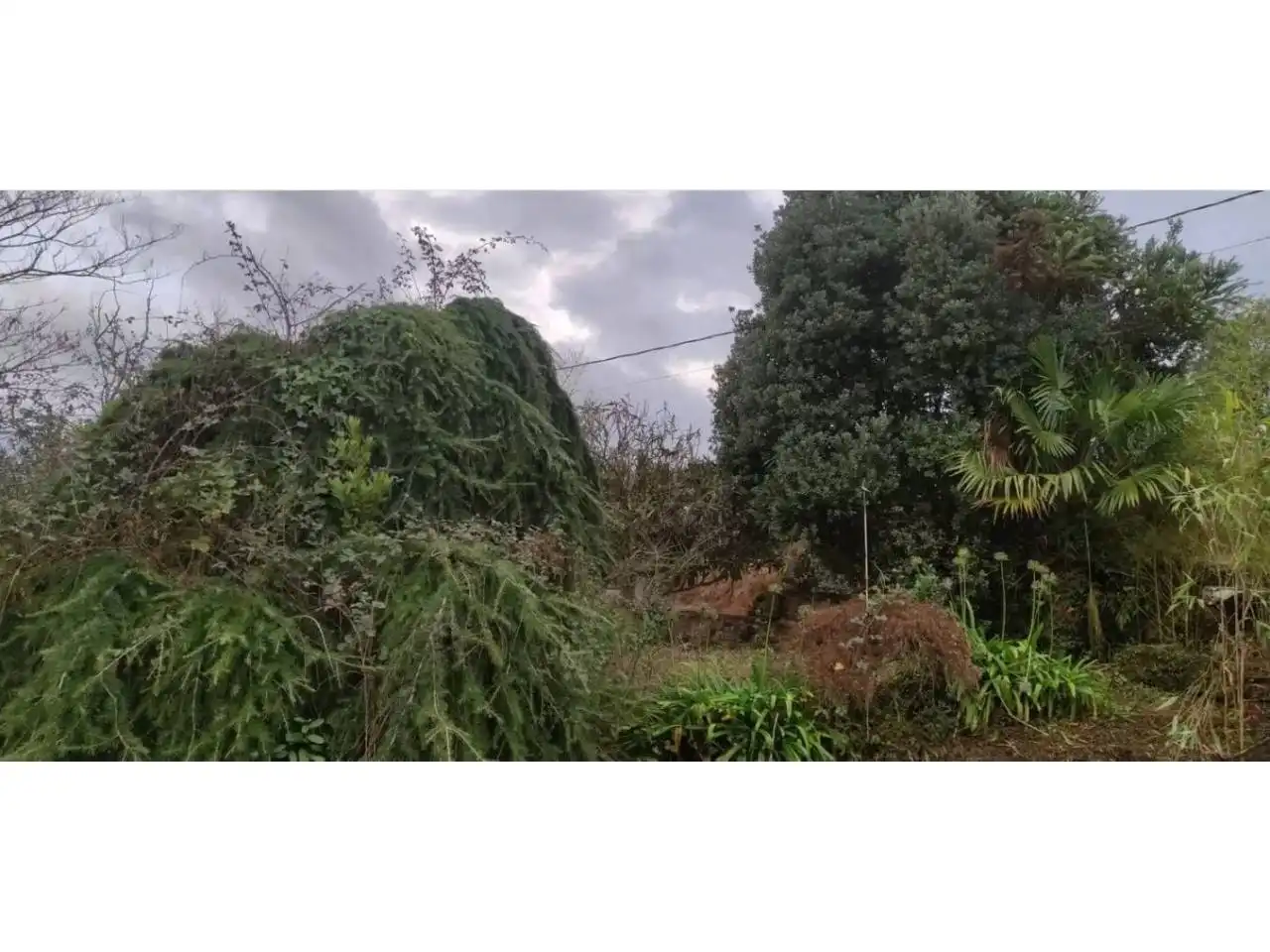 Terreny rústic en venda a Calle Lugar Barrabaite - Lamela 18, imagen 8