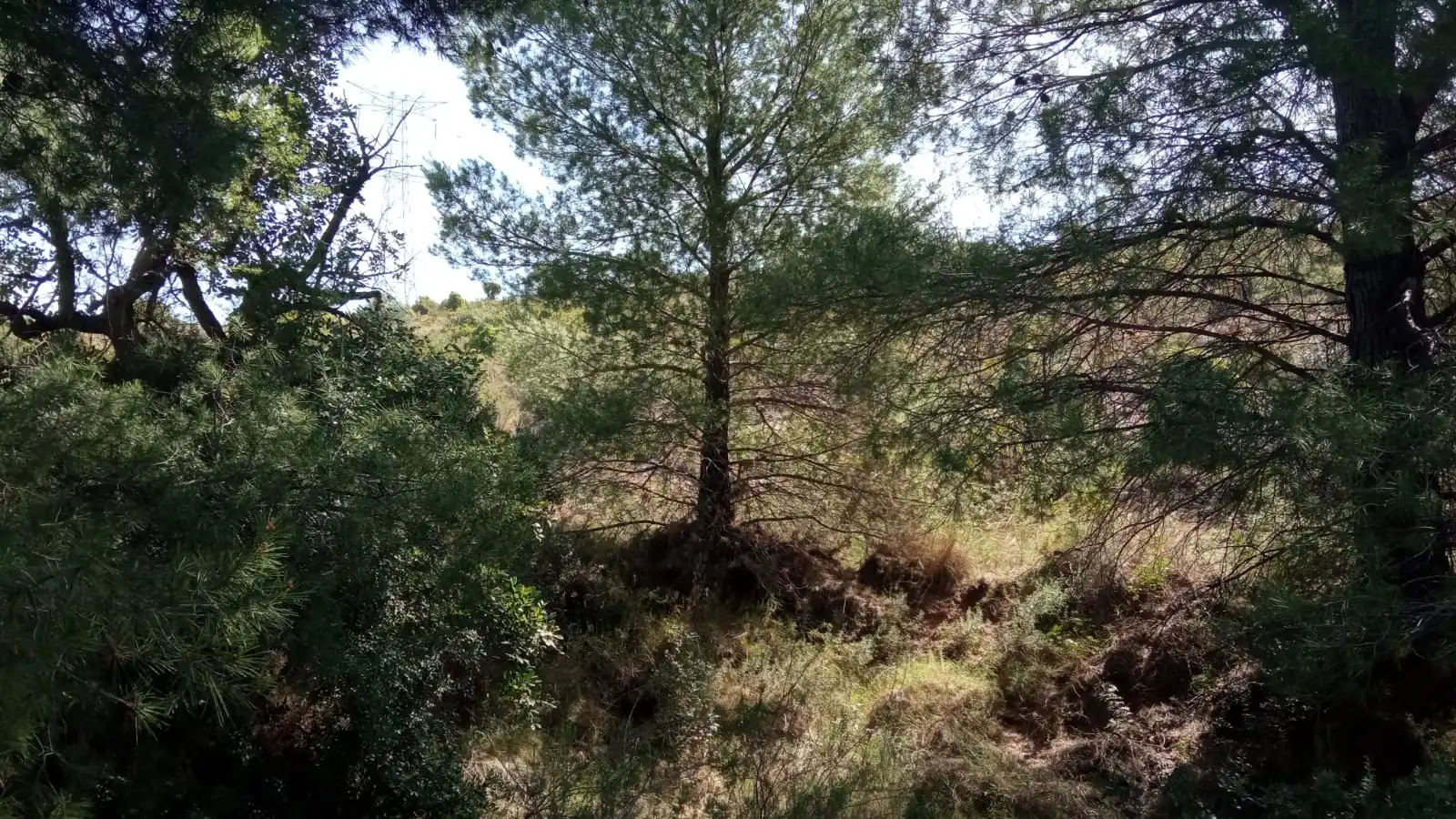Residential land for sale in Poligono 11, imagen 7