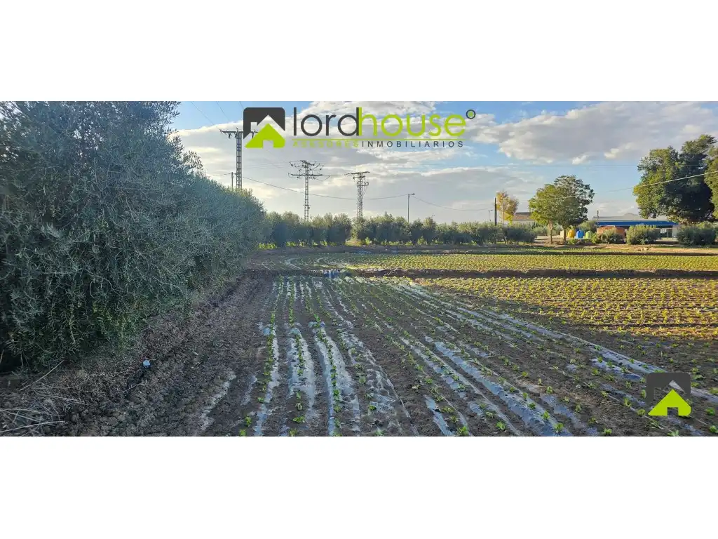 Residencial en venta en N/A, Marchena