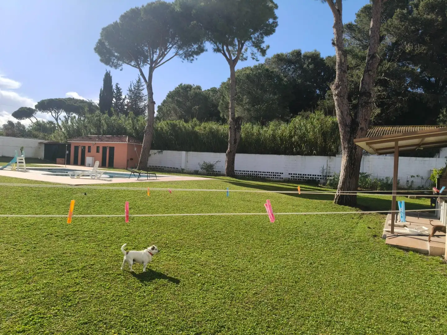 Garden of Houses for sale in Chiclana de la Frontera  with Air Conditioner, Swimming Pool and Alarm