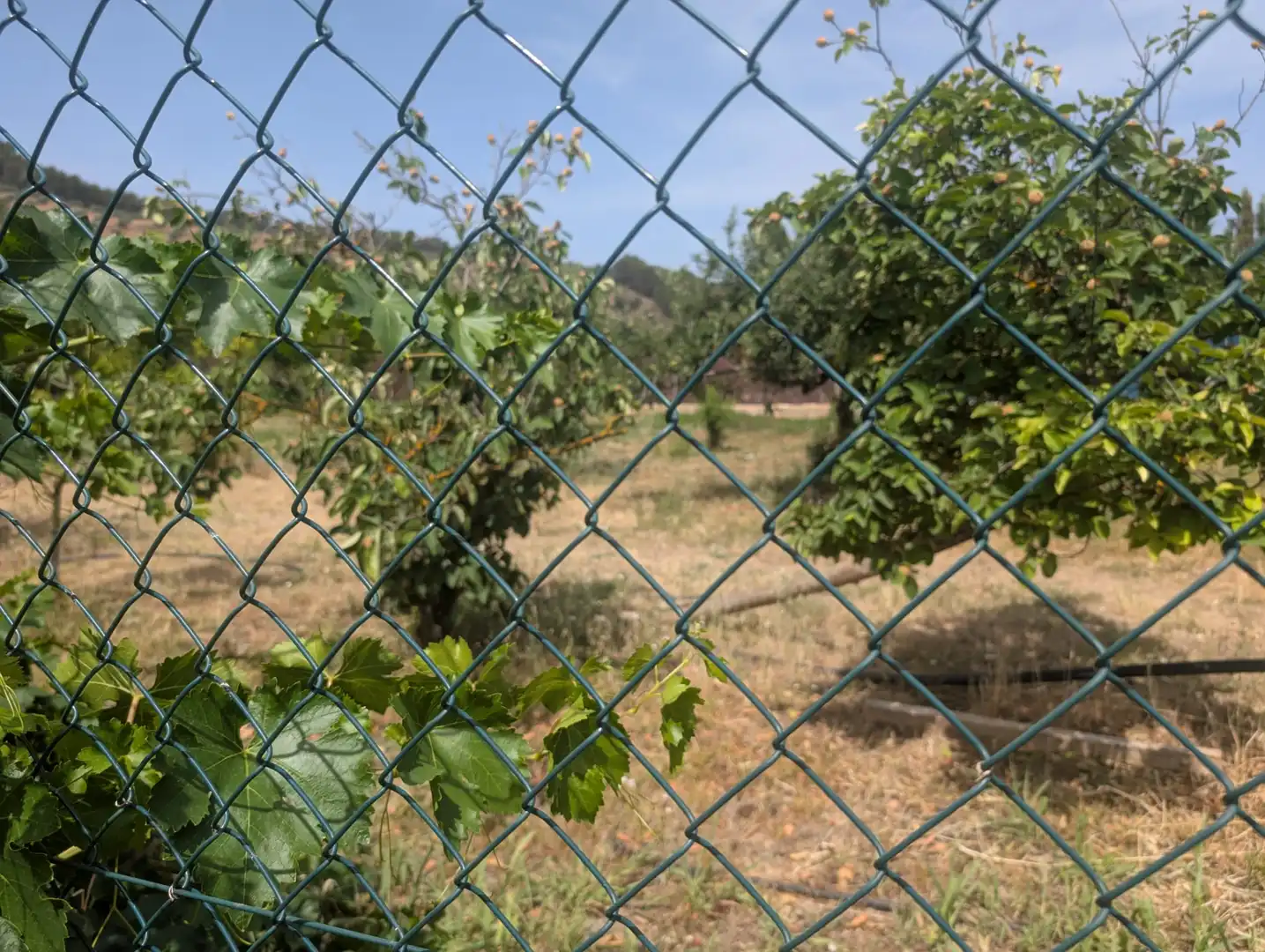 Casa rústica en venda a Alcaudete, imagen 7