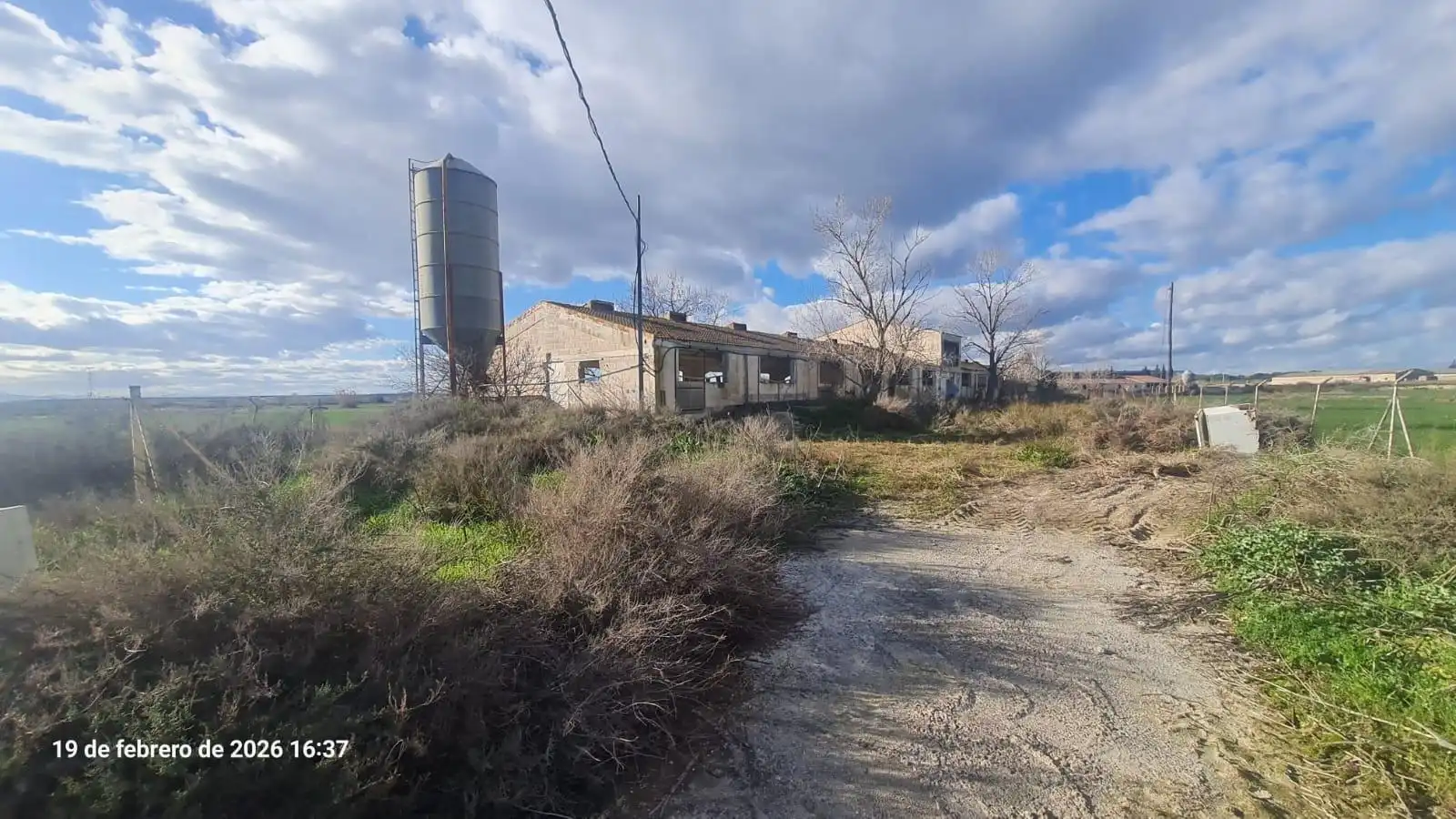 Land for sale in Tauste