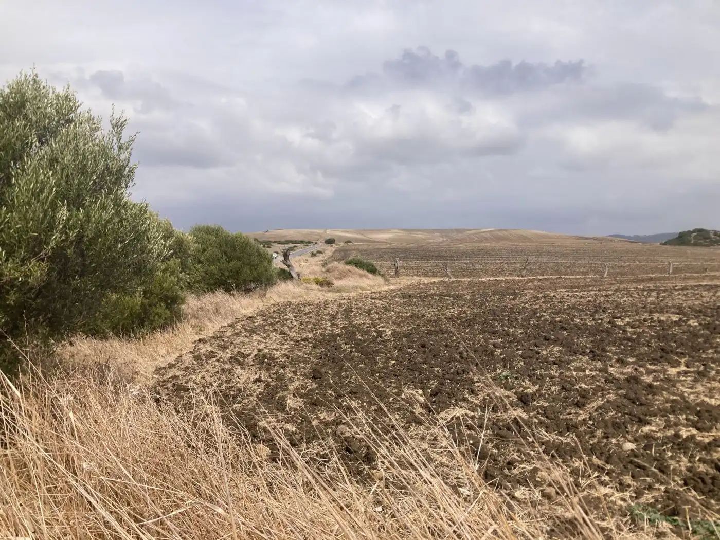 Terreni e lotti in vendita a Carretera vejer- el palmar, imagen 4