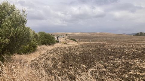 Foto 4 de Terreny en venda a Carretera Vejer- el Palmar, El Palmar, Vejer de la Frontera
