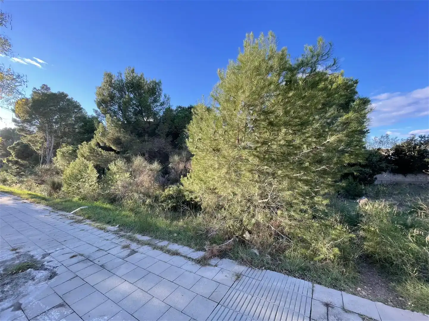Country homes for sale in L'Escala
