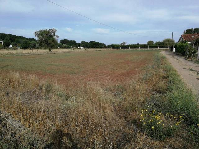 Terreno residencial en Venta en Calle Bajada de Santa Cruz en Ciudad Rodrigo