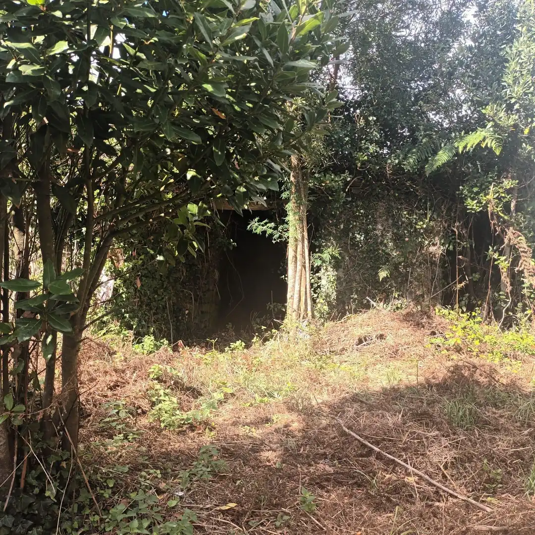 Finca rústica en venta en Santa Comba con Jardín privado