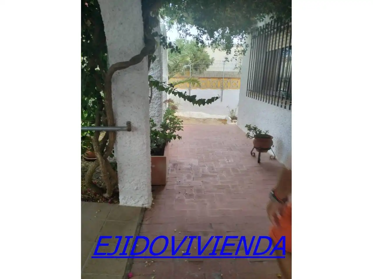 Vista exterior de Casa o chalet en venta en El Ejido con Jardín privado y Terraza