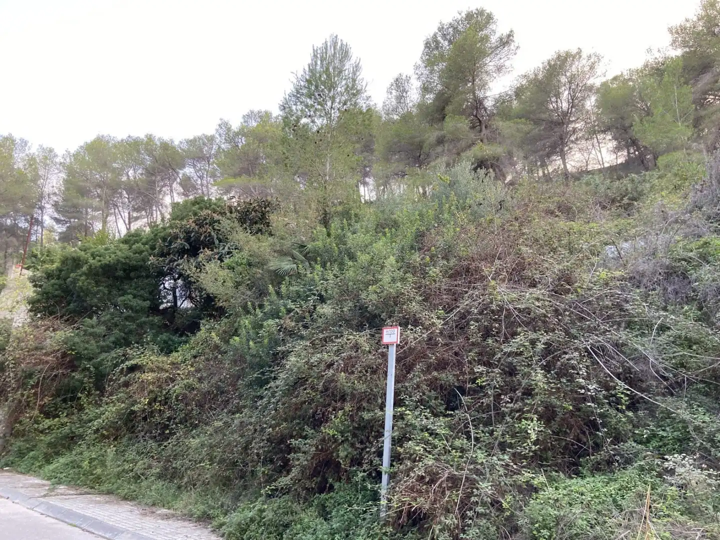 Rural land for sale in CL La ginesta Nº 7