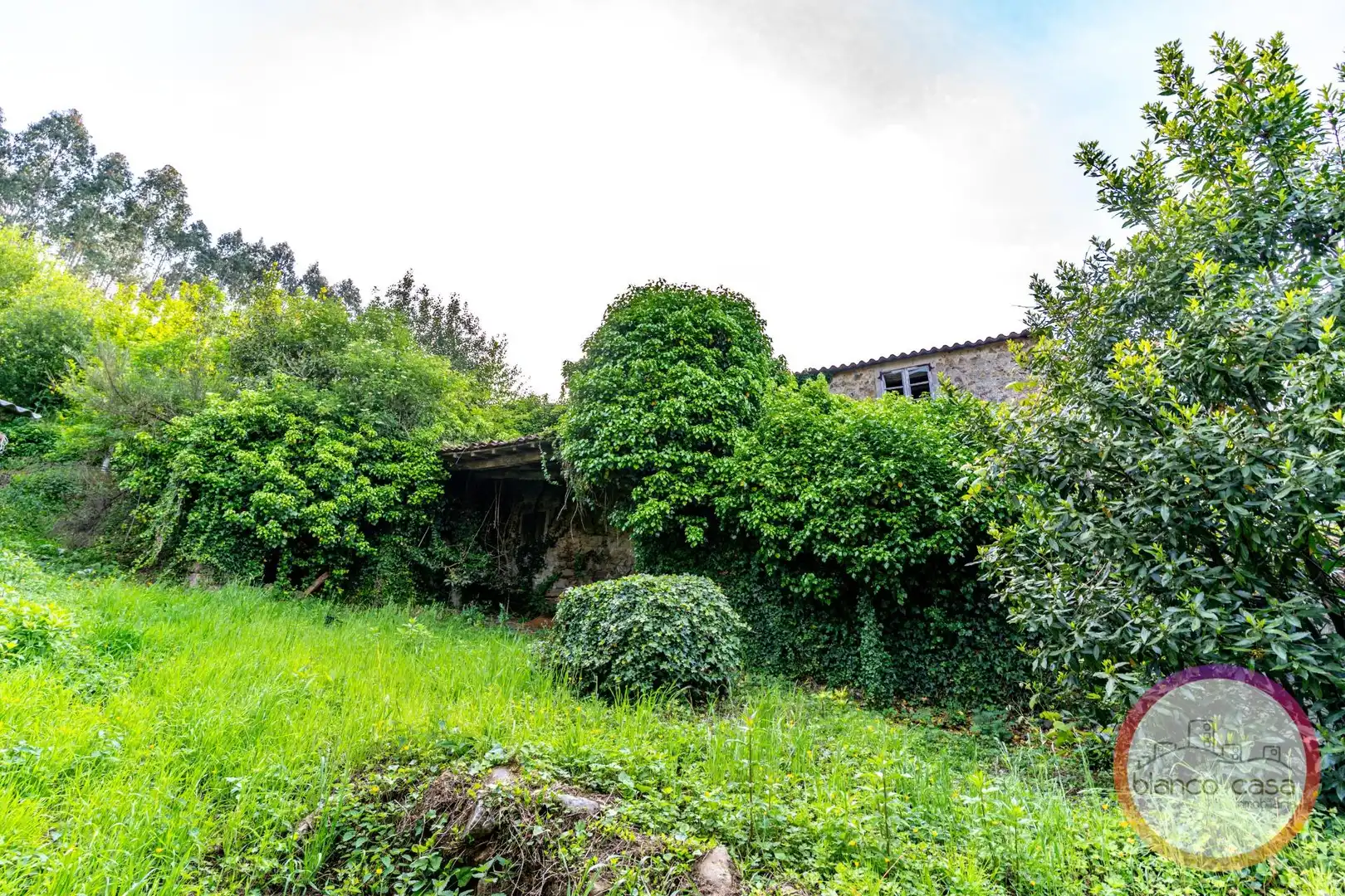 Houses for sale in Carballo