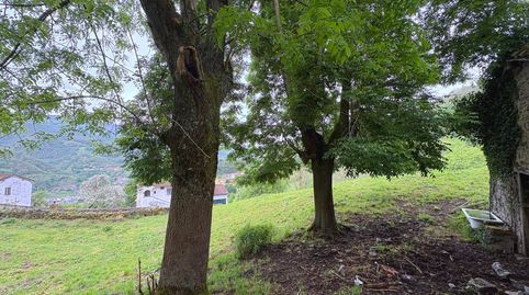 Photo 3 of Houses for sale in Moreda de Arriba, Aller, Asturias