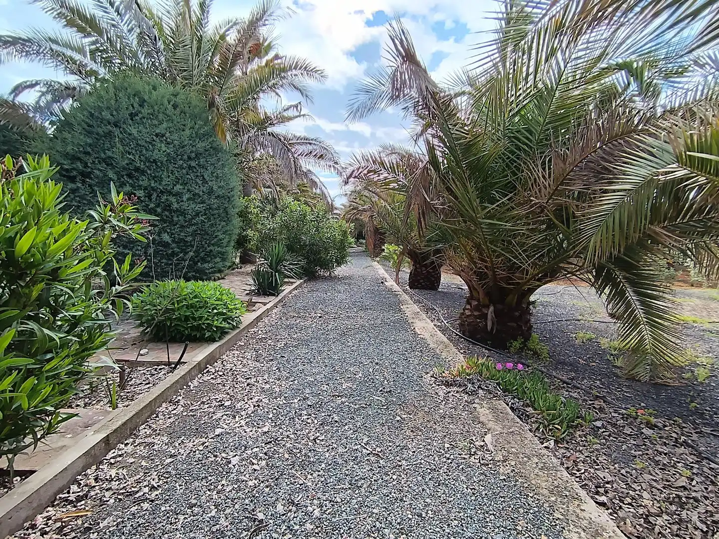 Vista exterior de Casa o chalet en venta en Brazatortas con Aire acondicionado, Calefacción y Jardín privado