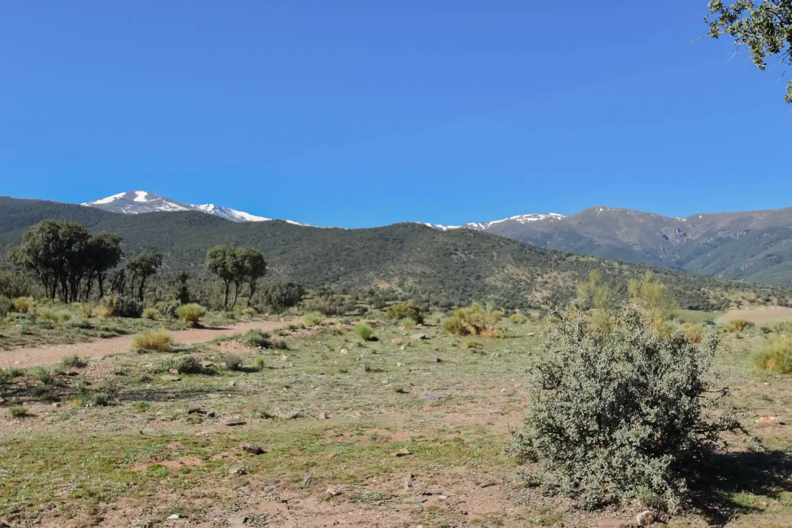 Terreno en venta en Paraje de las Perdices, Lugros