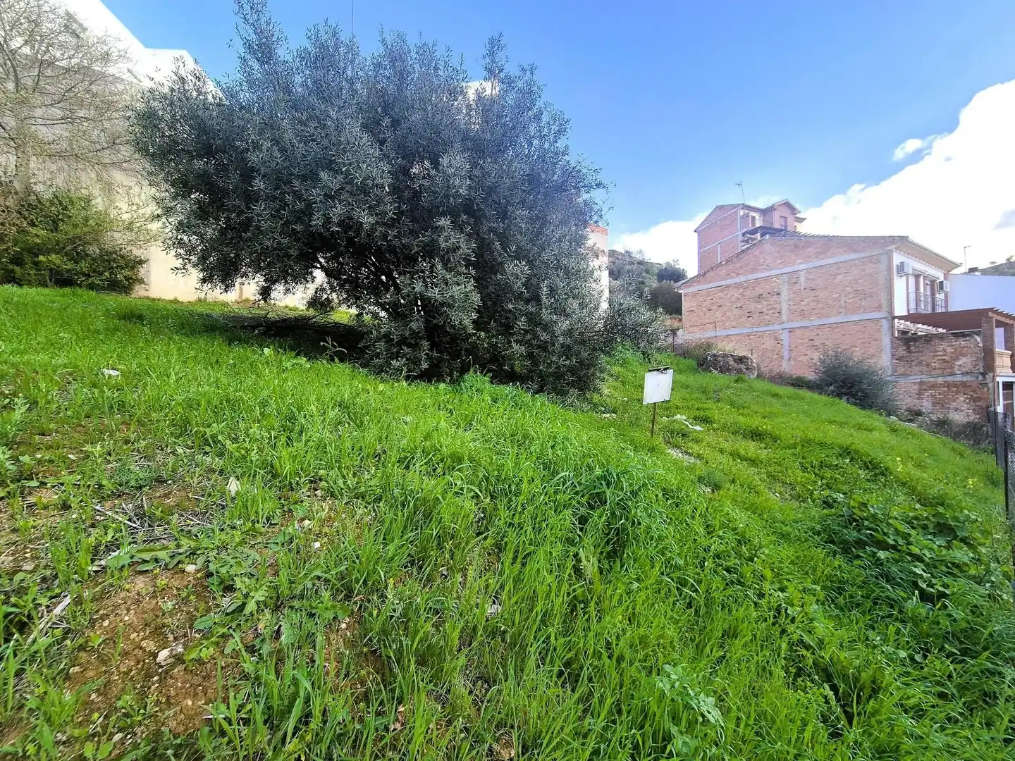 Terrain résidentiel à vendre à Loja, imagen 5