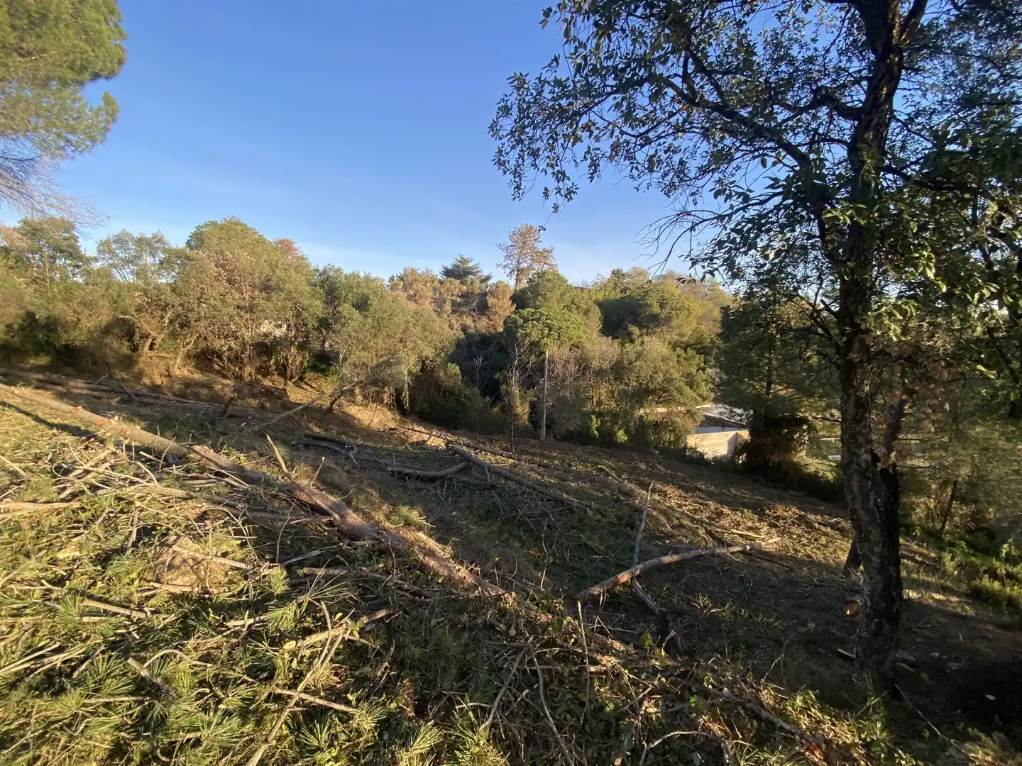 Terreno residencial en venta en Carrer Pi 7, imagen 18