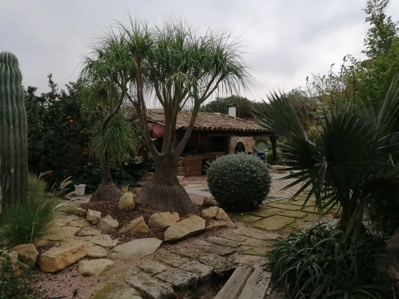 Jardí de Casa o xalet en venda en Murcia amb Calefacció, Jardí privat i Parquet