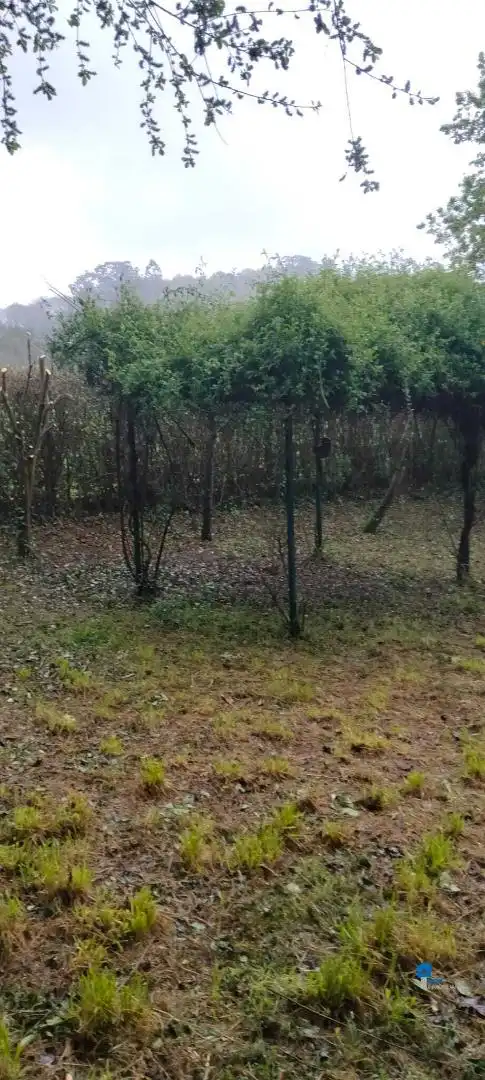 Terreni e lotti in vendita a Rasines, imagen 15