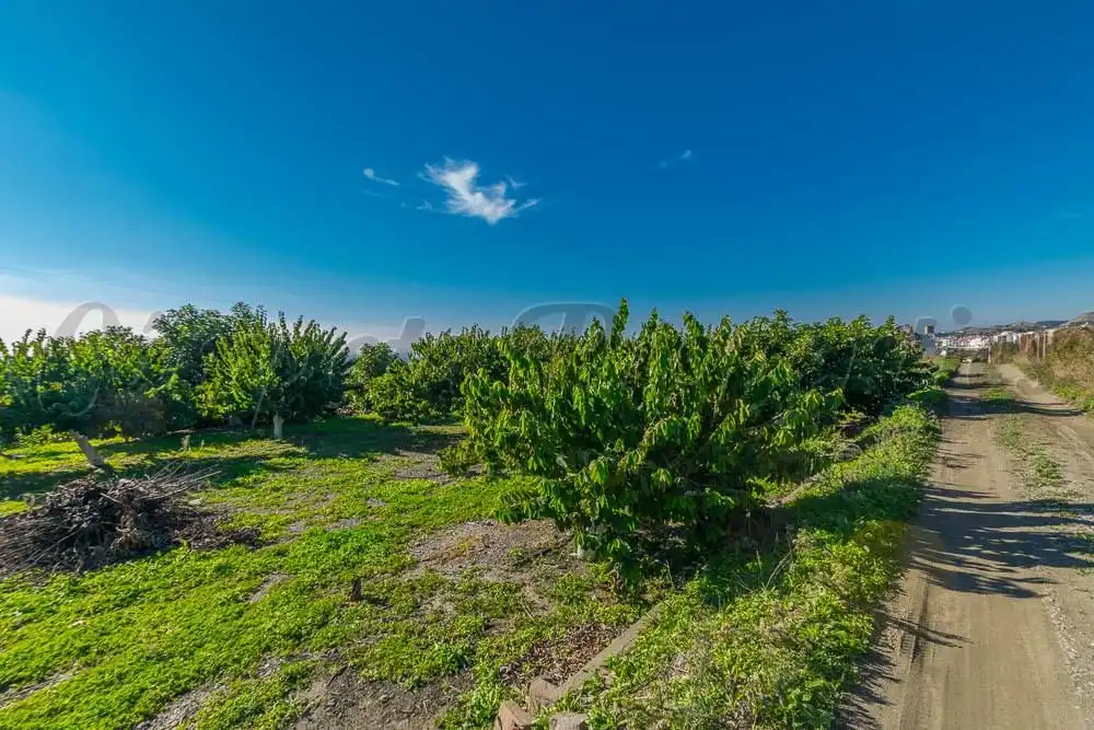 Terreno residenziale in vendita a Torrox Park, imagen 6